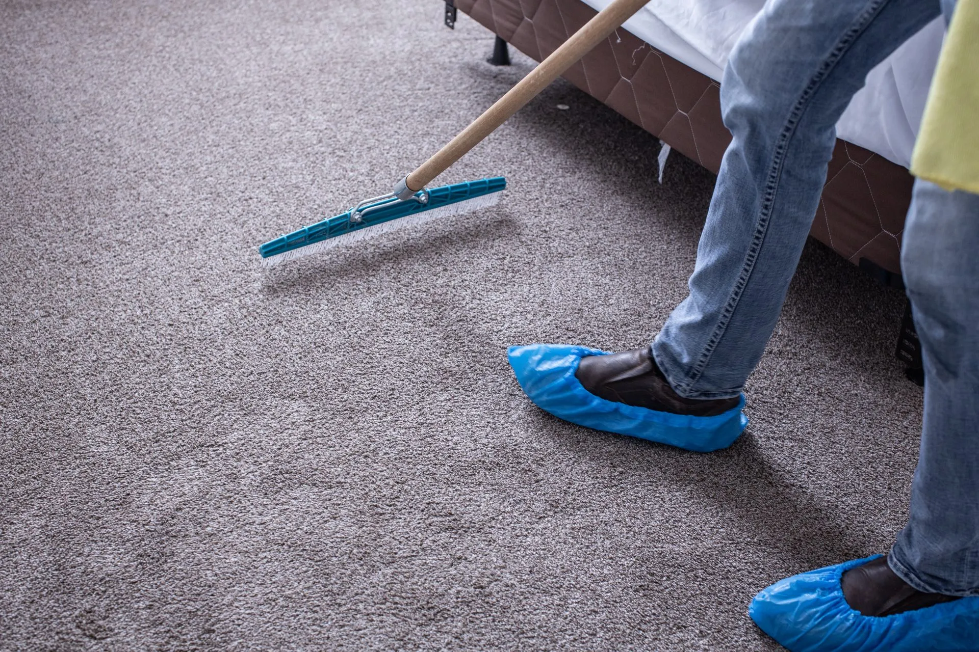 Professional Stain And Odor Removal Services in Colorado City, AZ