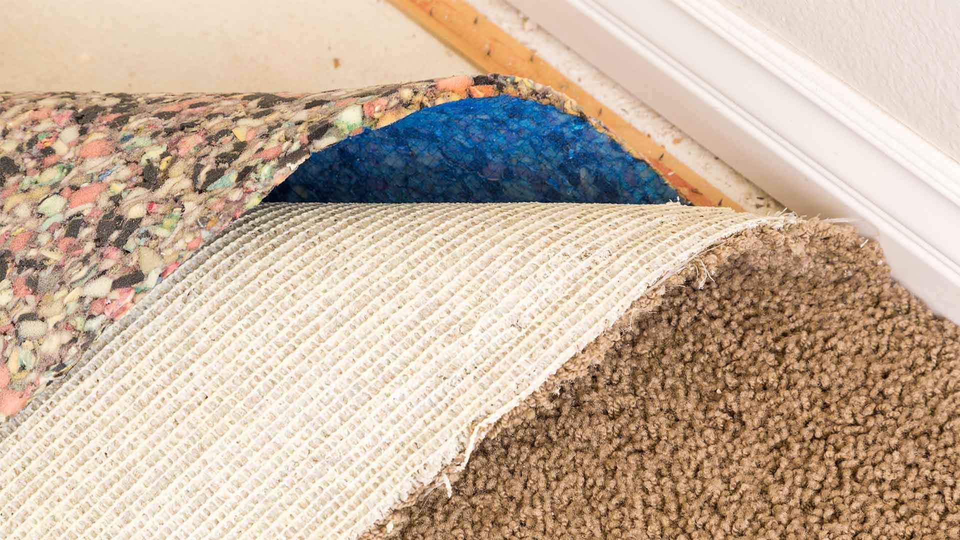 carpet-2880w