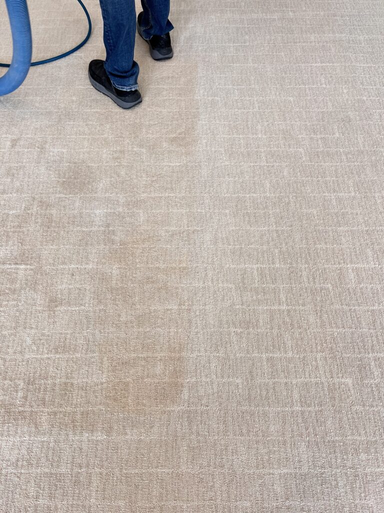 Before and after professional carpet cleaning showing dirty carpet transformed with deep cleaning