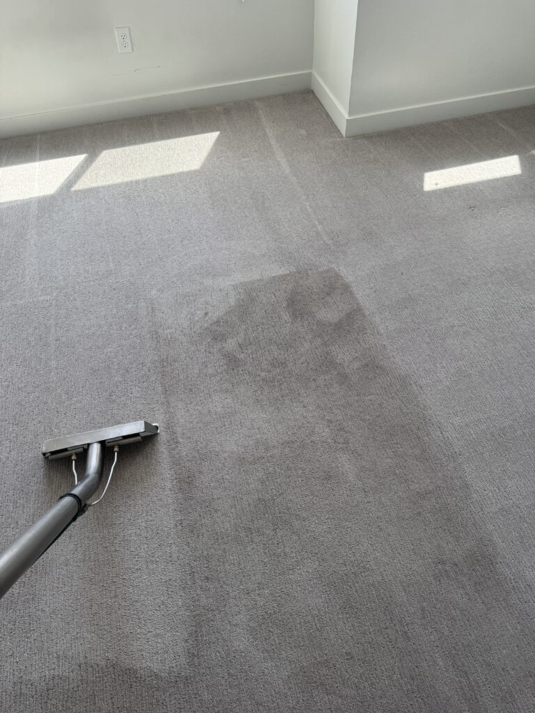 Clean residential carpet after professional steam cleaning, showing restored color and fresh carpet fibers.